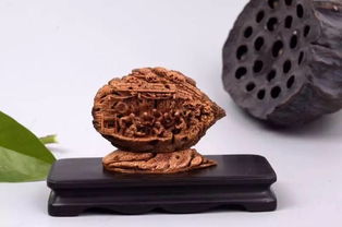 山東工藝美術(shù)學院研培學員創(chuàng)新產(chǎn)品設(shè)計大獎賽喜獲佳績，彰顯收藏品鑒定評估服務價值